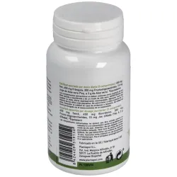 Plantapol sen_ frangula_ aloe y fos 100 comprimidos | Farmacia Barata
