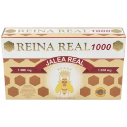 Robis jalea reina real 1000 20 amp cristal