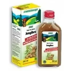 Schoenenberger jugo de jengibre bio 200ml | Farmacia Barata