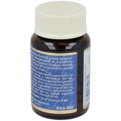 Echinacea 3 complex 30cap. estado puro | Farmacia Barata