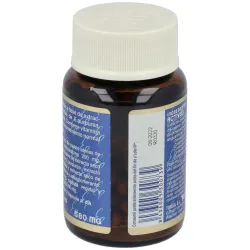 Echinacea 3 complex 30cap. estado puro | Farmacia Barata