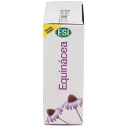 Echinaid alta potencia 60cps | Farmacia Barata
