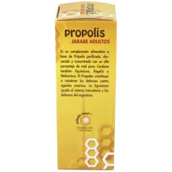 Propolis+ecninacea jarabe adultos 200ml. gricar | Farmacia Barata
