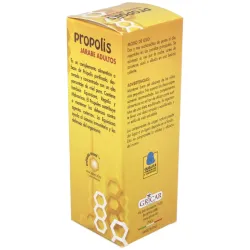 Propolis+ecninacea jarabe adultos 200ml. gricar | Farmacia Barata