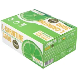 Gold nutrition l carnitina 3000 mg 20 viales | Farmacia Barata