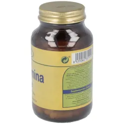 Zeus l- glutamina 877-ze 90cáps | Farmacia Barata Zeus l- glutamina 877-ze 90cáps | Farmacia Barata