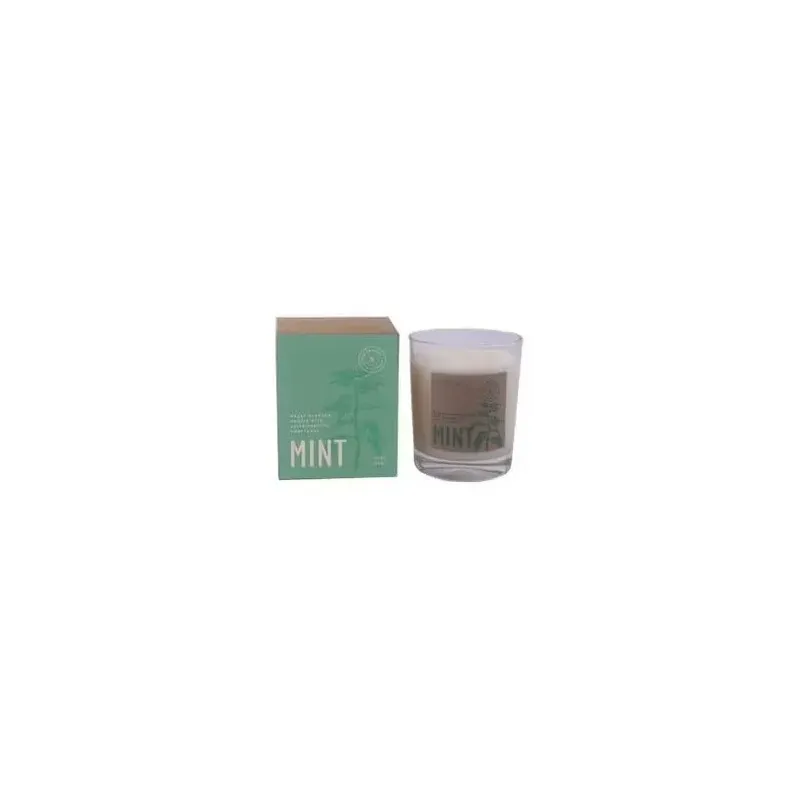 Cerabella vela vaso botvasm mint menta 7_5x9cm 1ud | Farmacia Barata