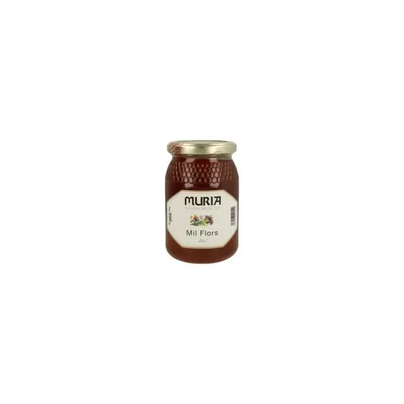 Miel de mil flores 500gr. | Farmacia Barata