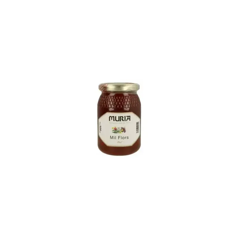 Miel de mil flores 500gr. | Farmacia Barata