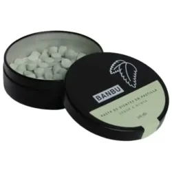 Banbu winter pasta de dientes pastillas menta 120uds