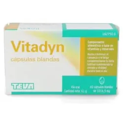 Vitadyn 60 caps blandas