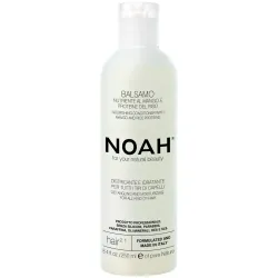 Noah acondicionador mango y proteínas de arroz hair 2.1 250ml