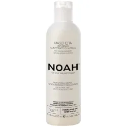 Noah mascarilla antiamarillo extracto de arándano azul 250ml
