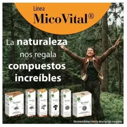 100% natural micovital melena leon 60caps | Farmacia Barata 100% natural micovital melena leon 60caps | Farmacia Barata