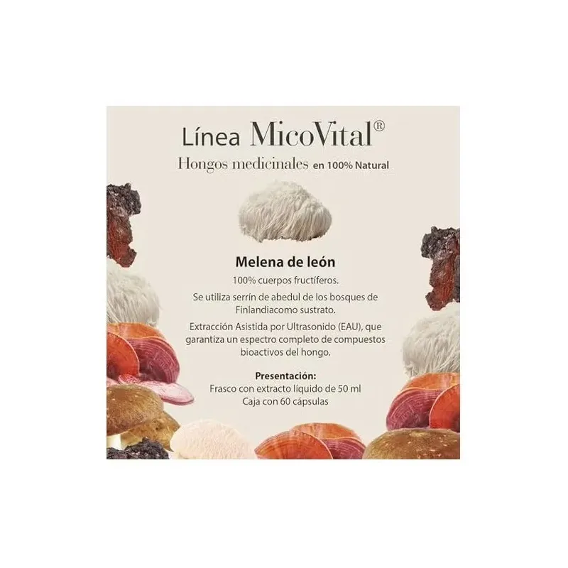 100% natural micovital melena leon 60caps | Farmacia Barata 100% natural micovital melena leon 60caps | Farmacia Barata