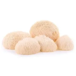100% natural micovital melena leon 60caps | Farmacia Barata 100% natural micovital melena leon 60caps | Farmacia Barata