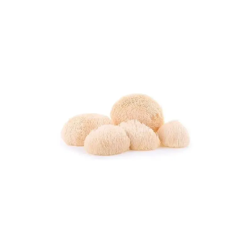 100% natural micovital melena leon 60caps | Farmacia Barata 100% natural micovital melena leon 60caps | Farmacia Barata