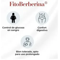 100% natural fitoberberina 30caps | Farmacia Barata