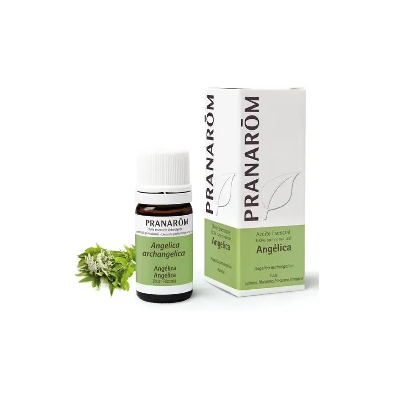 Pranarôm aceite esencial angélica 5 ml | Farmacia Barata Pranarôm aceite esencial angélica 5 ml | Farmacia Barata