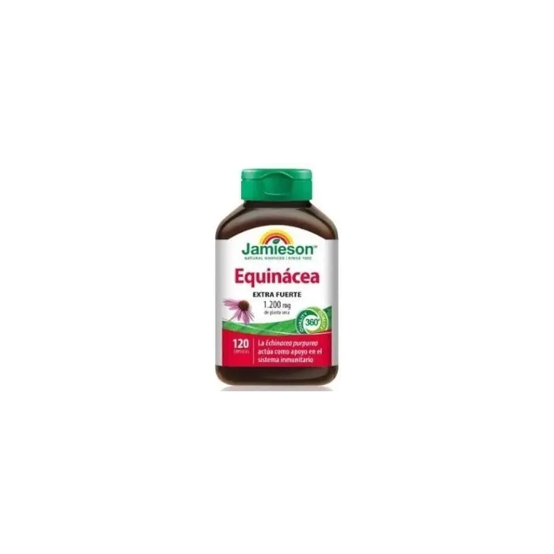 Echinacea extra fuerte 1200mg. 120cap. | Farmacia Barata Echinacea extra fuerte 1200mg. 120cap. | Farmacia Barata