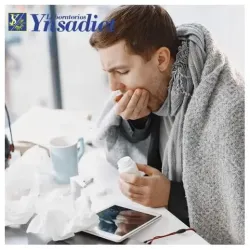 Ynsadiet echina propos spray bucal 20ml | Farmacia Barata