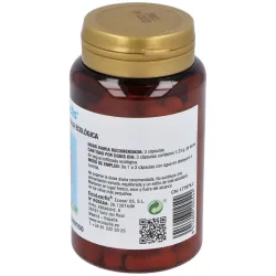 Leche de yegua liofilizada eco 90cap. | Farmacia Barata