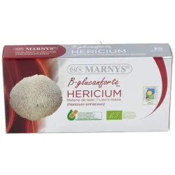 Melena de leon bio 30cap.