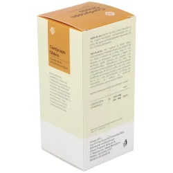 Cordyceps gheos 90cap. | Farmacia Barata