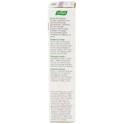 Crema echinacea 35gr. | Farmacia Barata Crema echinacea 35gr. | Farmacia Barata