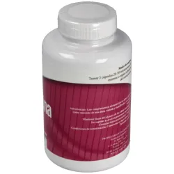 L-carnitina 100cap. 2 | Farmacia Barata