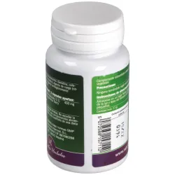 Acai berry 1000mg. 60cap. 2 | Farmacia Barata