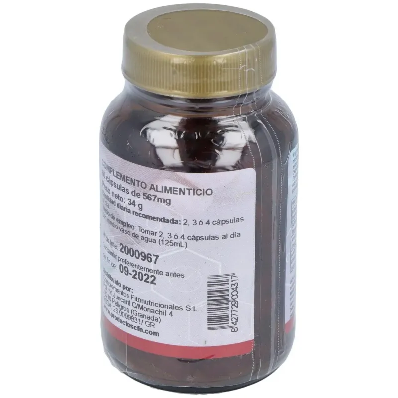 Fgb complex (fungibacter) 60cap. 2 | Farmacia Barata Fgb complex (fungibacter) 60cap. 2 | Farmacia Barata