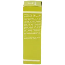 Equisalud Yap 21 30 cápsulas | Farmacia Barata