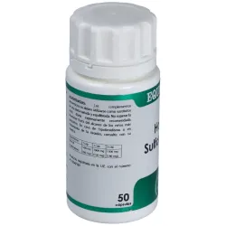 Equisalud HoloFit Sulforafano | Farmacia Barata Equisalud HoloFit Sulforafano | Farmacia Barata