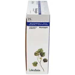 Plantaggio | Farmacia Barata Plantaggio | Farmacia Barata