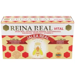 Robis Reina Real Vital, 30 ampollas.