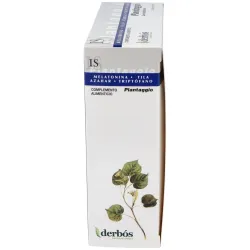 Plantaggio | Farmacia Barata Plantaggio | Farmacia Barata