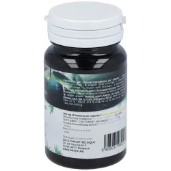 Probiotic Ferment Daily 30 cápsulas | Farmacia Barata Probiotic Ferment Daily 30 cápsulas | Farmacia Barata