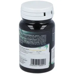 Probiotic Ferment Daily 30 cápsulas | Farmacia Barata Probiotic Ferment Daily 30 cápsulas | Farmacia Barata