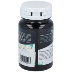 Probiotic Ferment Daily 30 cápsulas | Farmacia Barata Probiotic Ferment Daily 30 cápsulas | Farmacia Barata