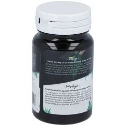 Probiotic Ferment Daily 30 cápsulas | Farmacia Barata Probiotic Ferment Daily 30 cápsulas | Farmacia Barata