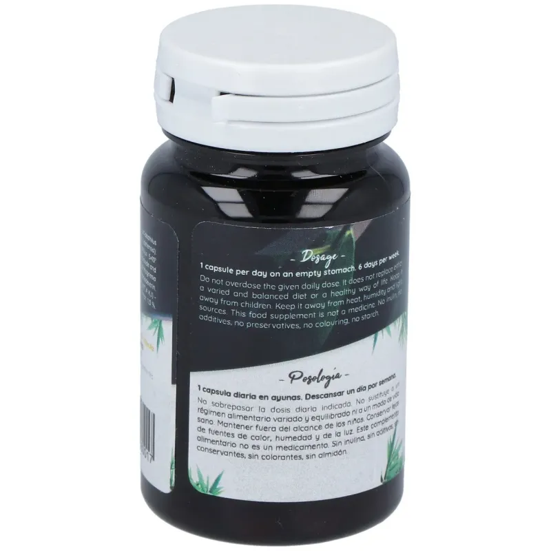 Probiotic Ferment Daily 30 cápsulas | Farmacia Barata Probiotic Ferment Daily 30 cápsulas | Farmacia Barata