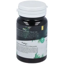 Probiotic Ferment Daily 30 cápsulas | Farmacia Barata Probiotic Ferment Daily 30 cápsulas | Farmacia Barata
