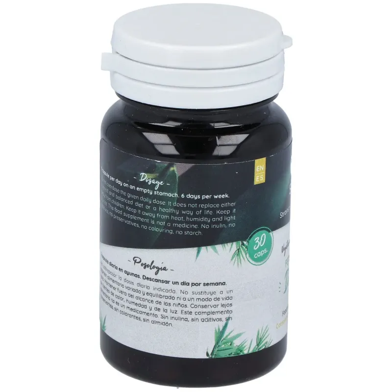 Probiotic Ferment Daily 30 cápsulas | Farmacia Barata Probiotic Ferment Daily 30 cápsulas | Farmacia Barata