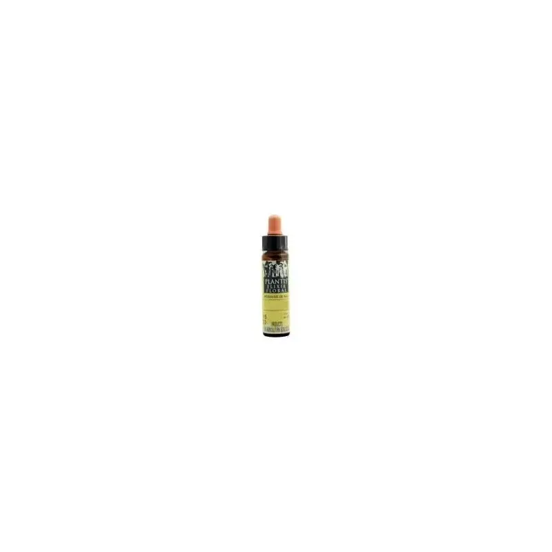 Plantis 31 Verbena 10ml | Farmacia Barata Plantis 31 Verbena 10ml | Farmacia Barata