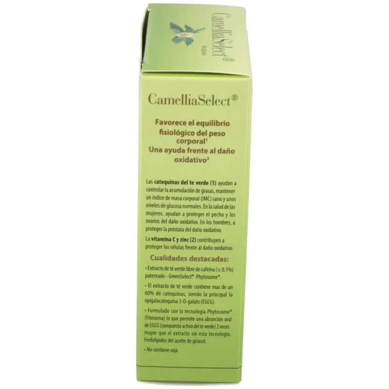 CamelliaSelect 60 cápsulas | Farmacia Barata CamelliaSelect 60 cápsulas | Farmacia Barata