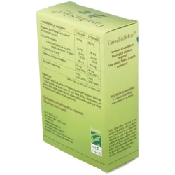 CamelliaSelect 60 cápsulas | Farmacia Barata CamelliaSelect 60 cápsulas | Farmacia Barata