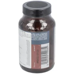 Terranova Enzimas Digestivas, 100 cápsulas | Farmacia Barata Terranova Enzimas Digestivas, 100 cápsulas | Farmacia Barata