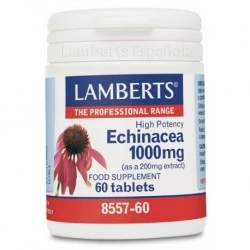 LAMBERTS Equinácea 1.000mg, 60 comprimidos.