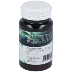 San Probiotic Ferment Daily 60 cápsulas | Farmacia Barata San Probiotic Ferment Daily 60 cápsulas | Farmacia Barata